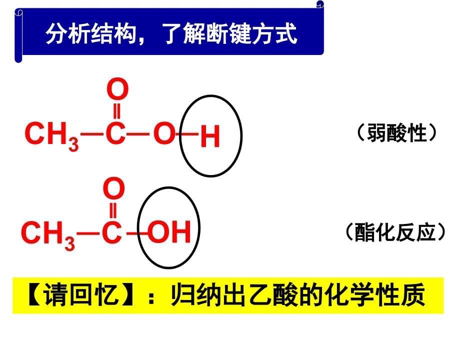 合成橡胶材料：推动未来工业发展的关键力量